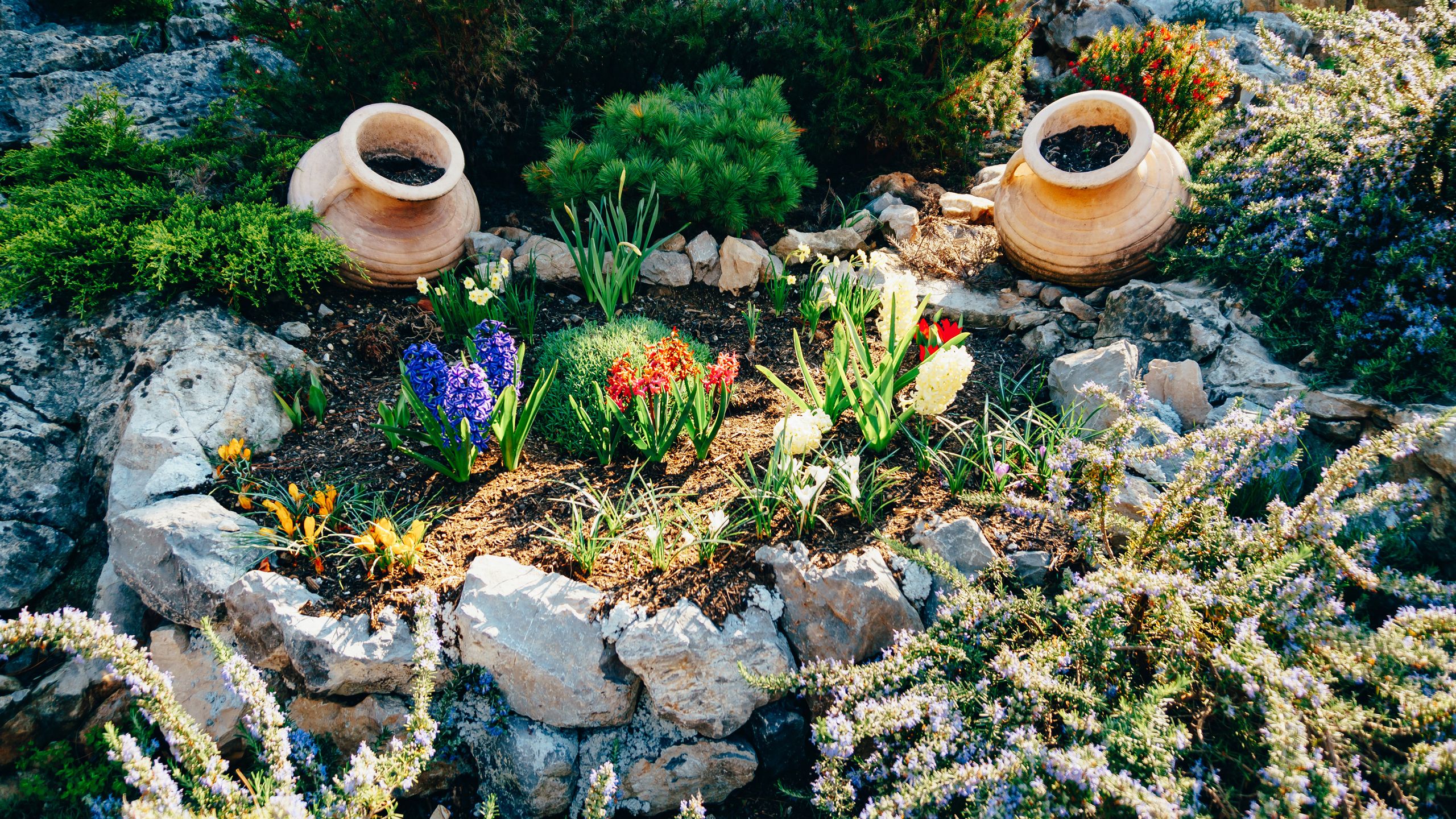 clay pots for plants near me Terra Cotta Pot for Cactus and Succulents- Clay Ceramic Pottery Planter with Drainage Holes main image 1