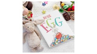 The white children's book reads Rosie and the egg with a picture of a bunny and some easter eggs on the cover. It is on a white background next to a rabbit cuddly toy, some small colourful foil easter eggs and chocolates.