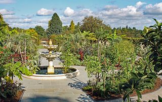 exotic garden at RHS Wisley