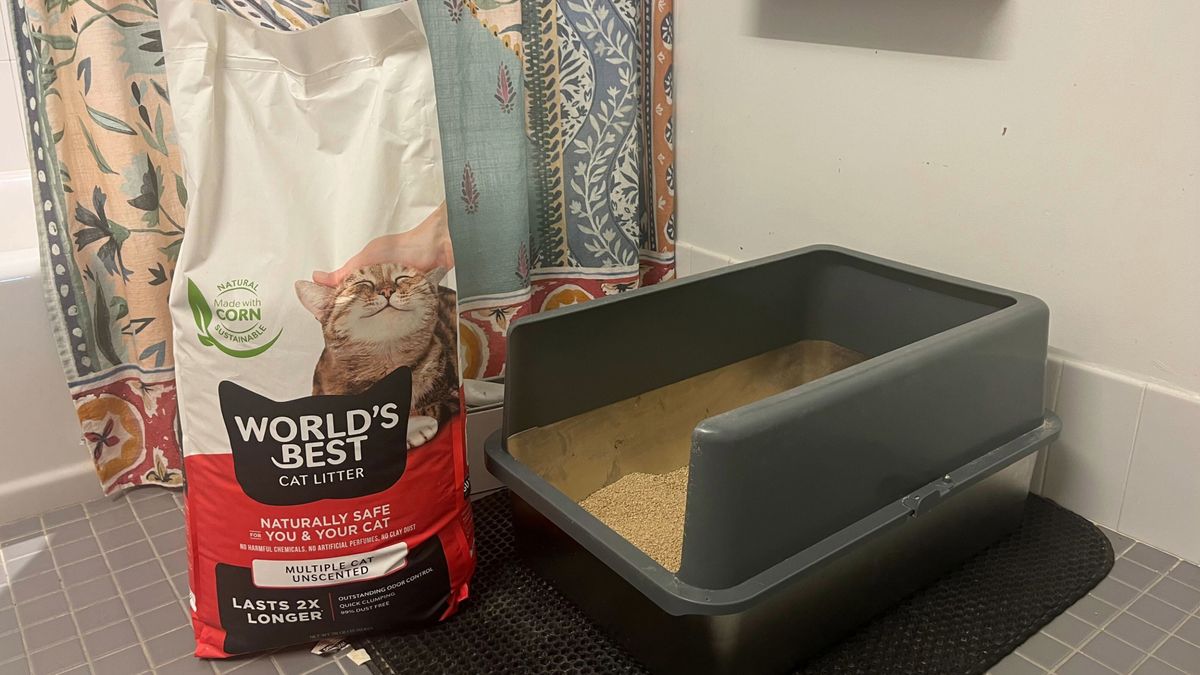 A bag of World's Best Cat Litter, one of the best cat litters, next to Rebecca's cat's litter box