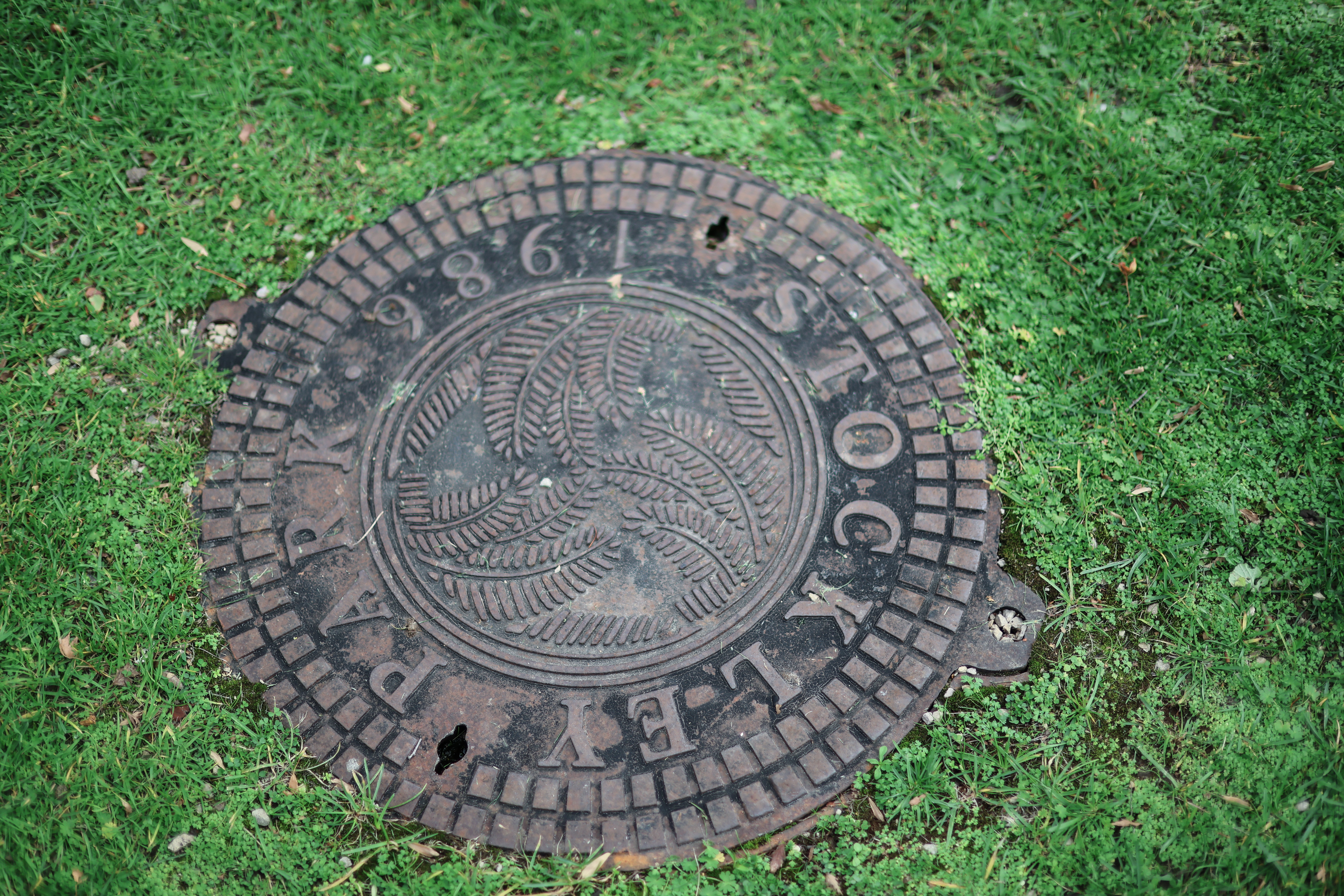 Sample image taken on the Canon RF 45mm f/1.2 STM