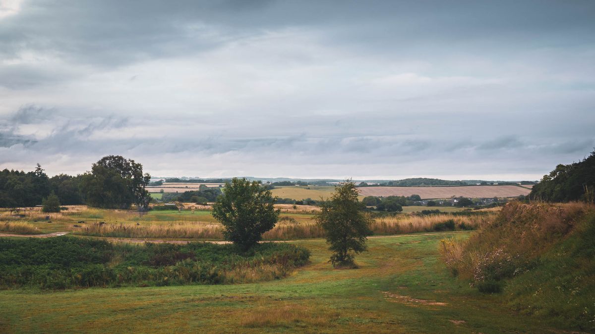 Nikon Z8 example image of a landscape