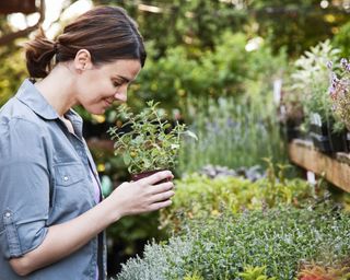 woman browsing plants in garden centre