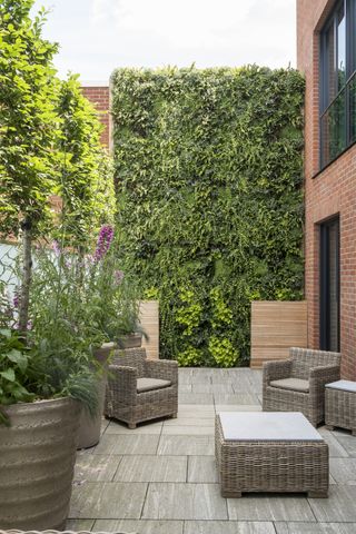 How to make a living wall: create vertical planting to maximise your space