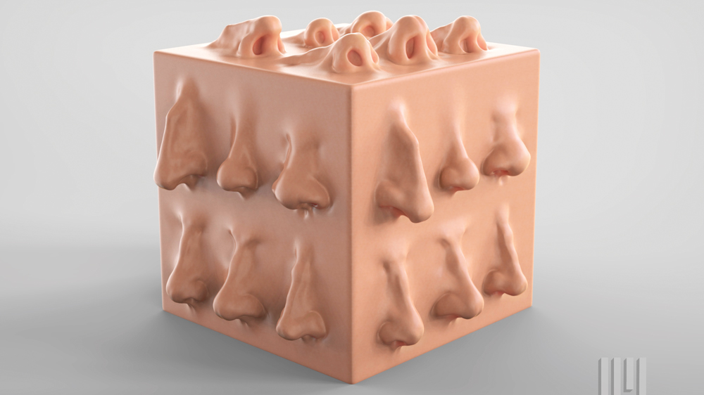 C mo Esculpir Una Nariz Humana En Zbrush 4 Sencillos Pasos TheFastCode c-mo-esculpir-una-nariz-humana-en-zbrush-4-sencillos-pasos-thefastcode