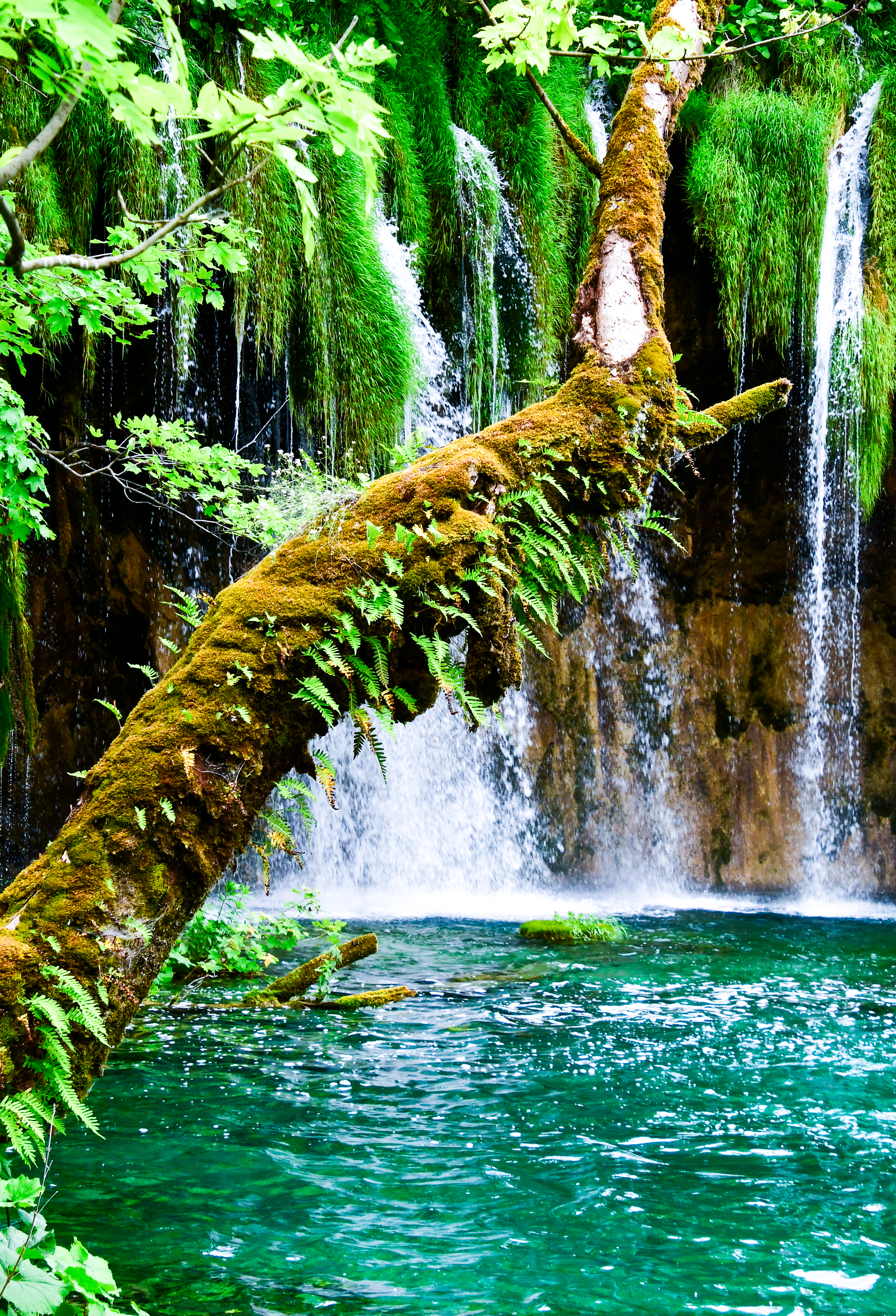 GuruShots - Nature March 2026