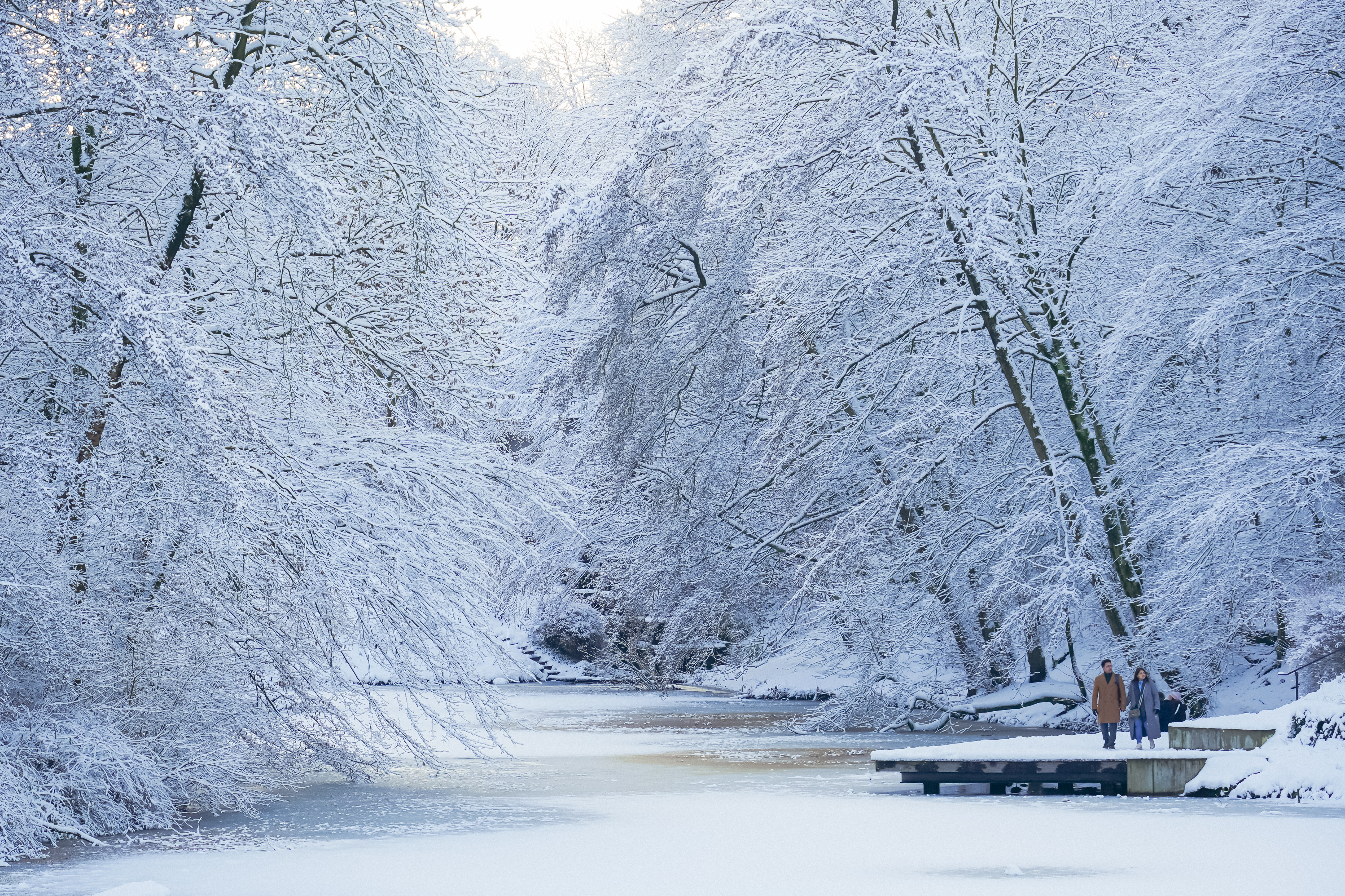 GuruShots - February 2026