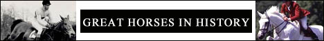 greathorses.jpg