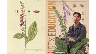 A comparison between Elizabeth Blackwell's illustration of a Foxglove and Netflix's poster featuring George Robinson as Isaac Goodwin