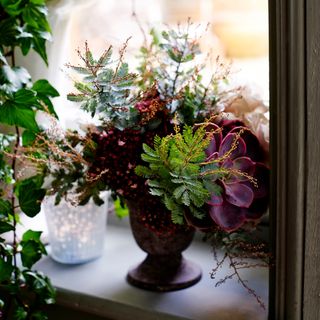 christmas flower arrangement containing cacti sitting on a bright windowsill