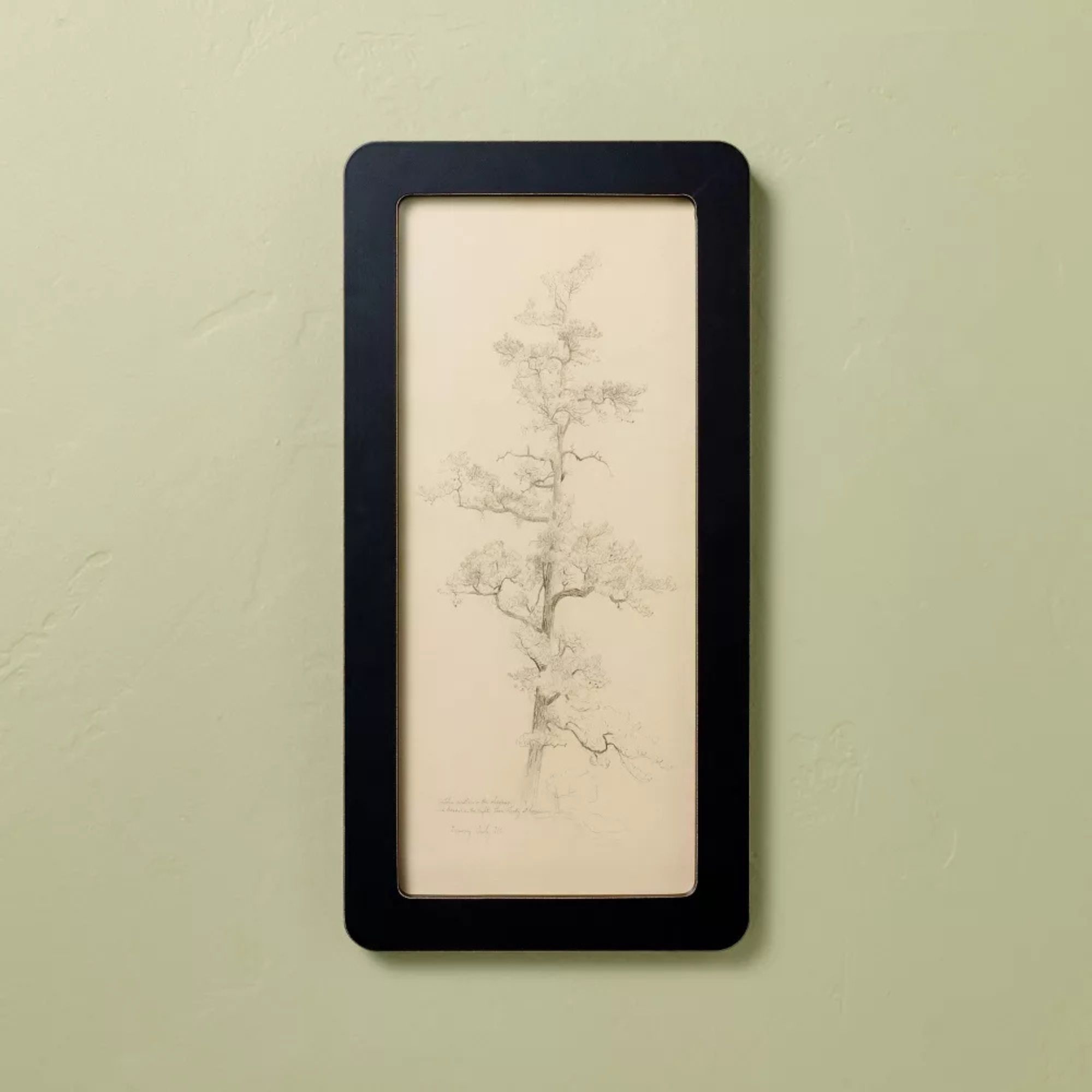 16&quot;x8&quot; Sketched Tree in Black Frame Wall Art - Hearth &amp;amp; Hand&amp;trade; with Magnolia