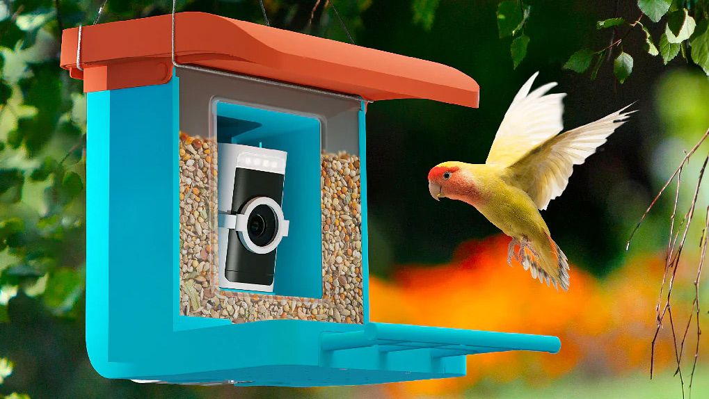 Wyze Bird feeder hanging from tree with a bird