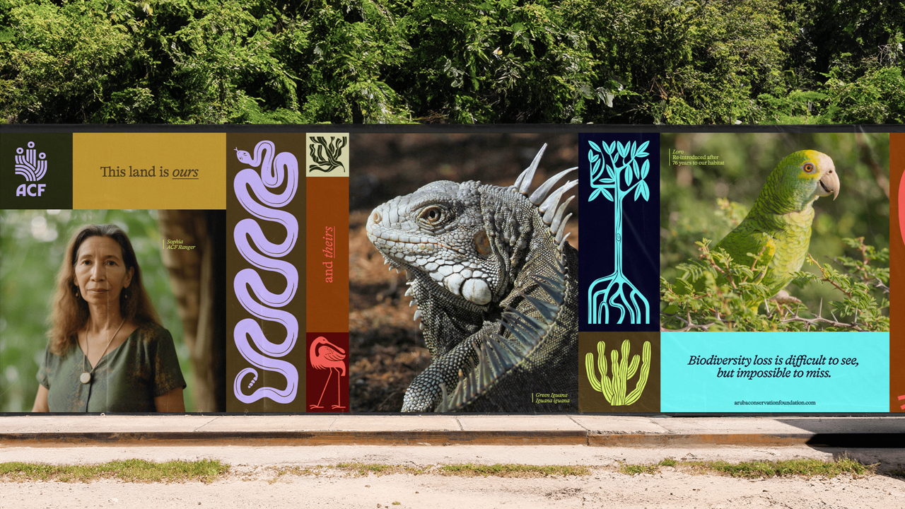 Aruba Conservation Foundation rebrand