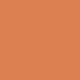 Orange Blossom 2168-30 paint swatch