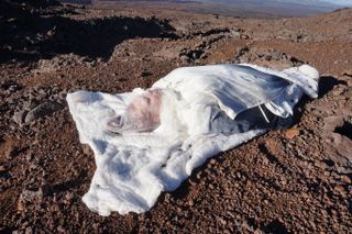 J.J. Hastings "practices" dying on "Mars" just outside of the HI-SEAS habitat in Hawaii while wearing Pia Interlandi's "Martian death garment."