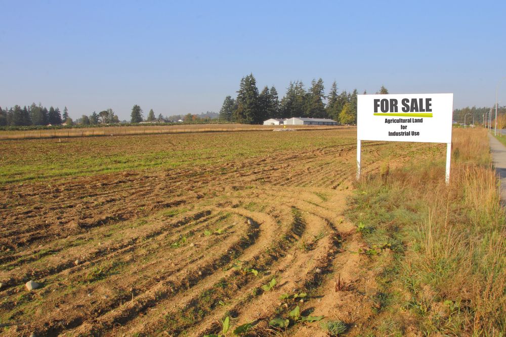 Farm land for sale