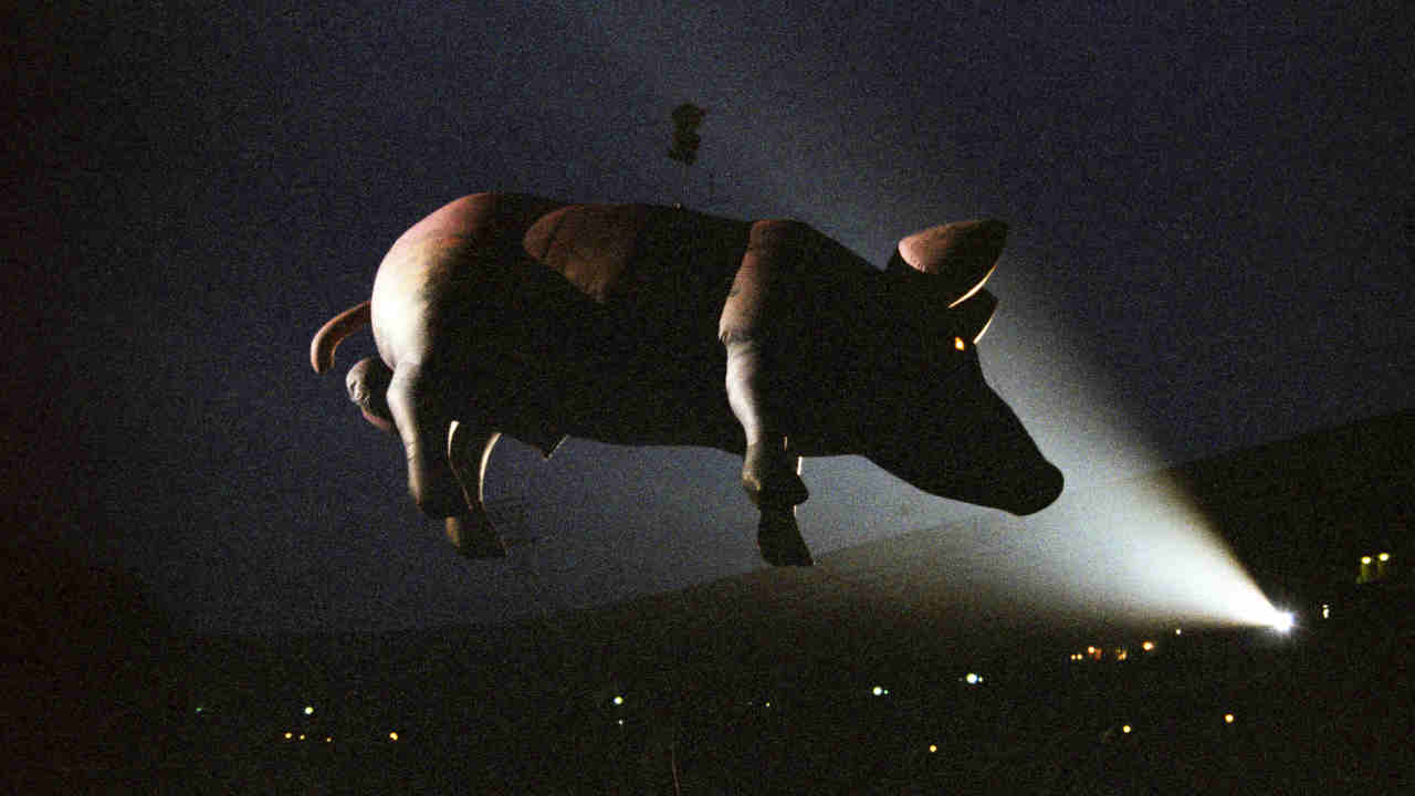 Pink Floyd&amp;rsquo;s inflatable pig hovering in the air during a late &amp;rsquo;80s live show