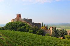 Soave vineyards