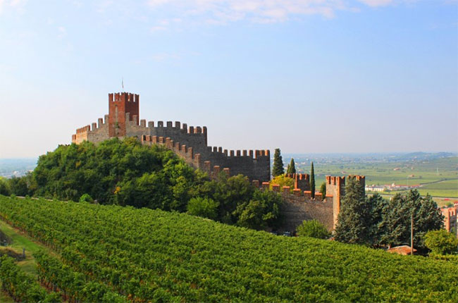 Soave vineyards