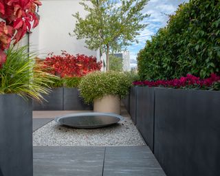 rooftop garden with stylish planters