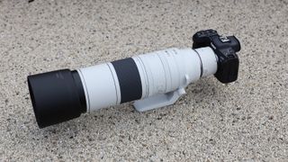 Canon RF 200-800mm f/6.3-9 IS USM lens on a Canon EOS R5 camera on a concrete surface