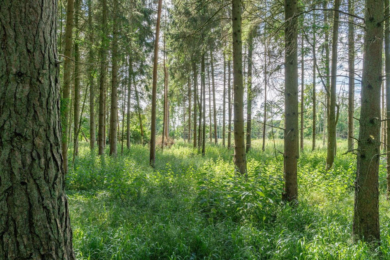 Images of Middleton Park in Oxfordshire