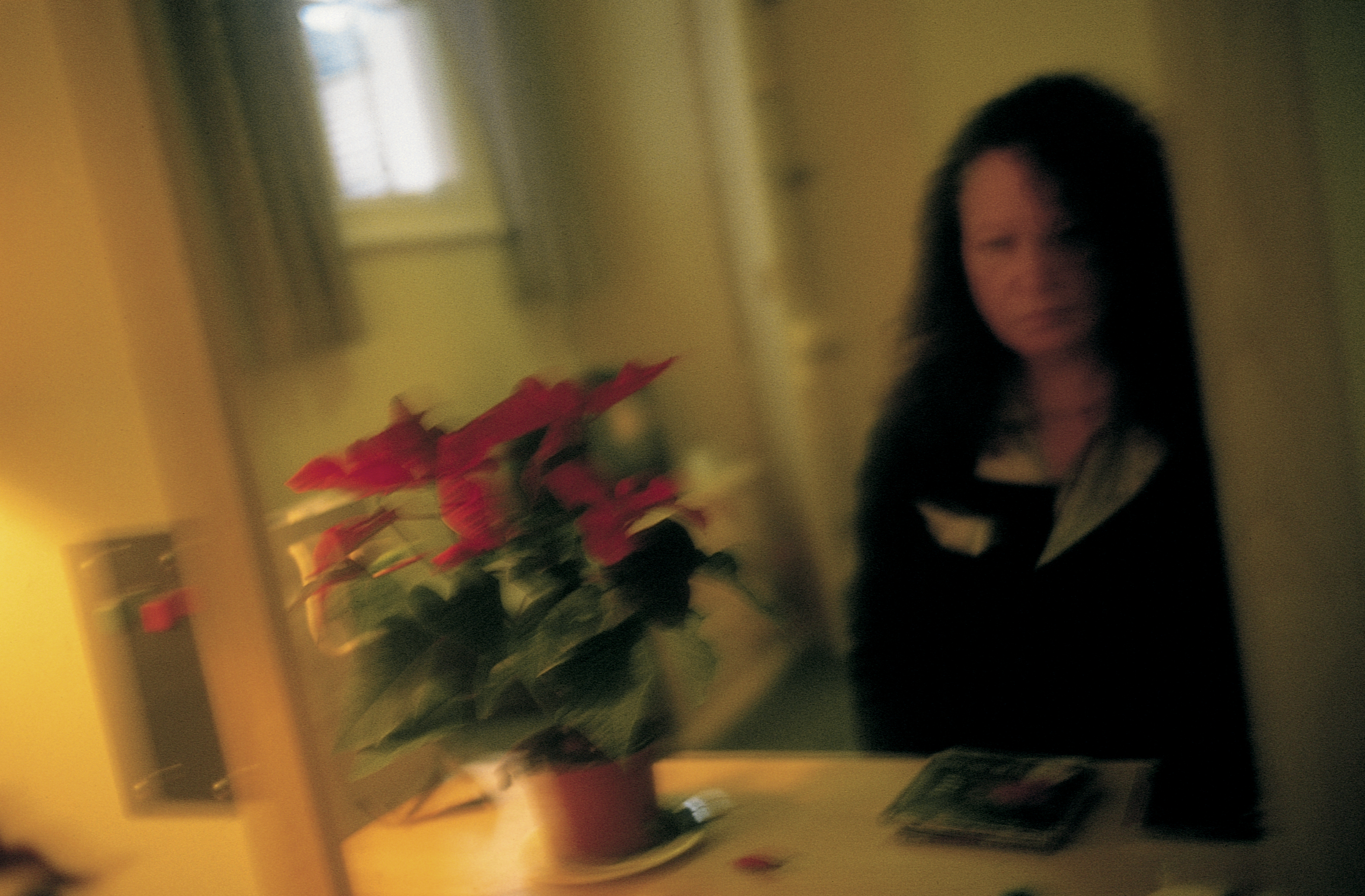 A soft-focus color photograph of a person sitting in a dimly lit room behind a table with a red poinsettia plant.