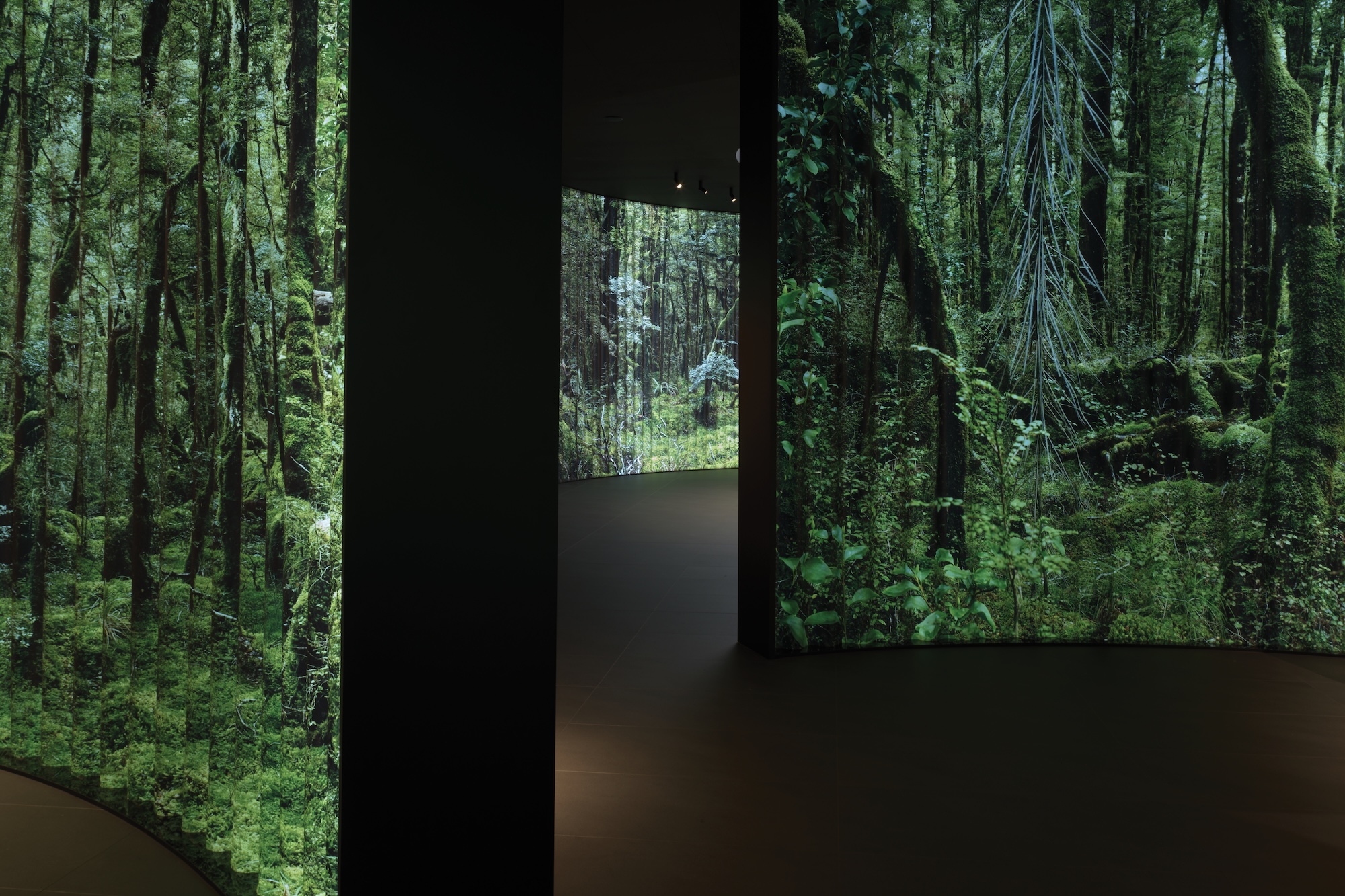 fisher and paykel salone del mobile 2026