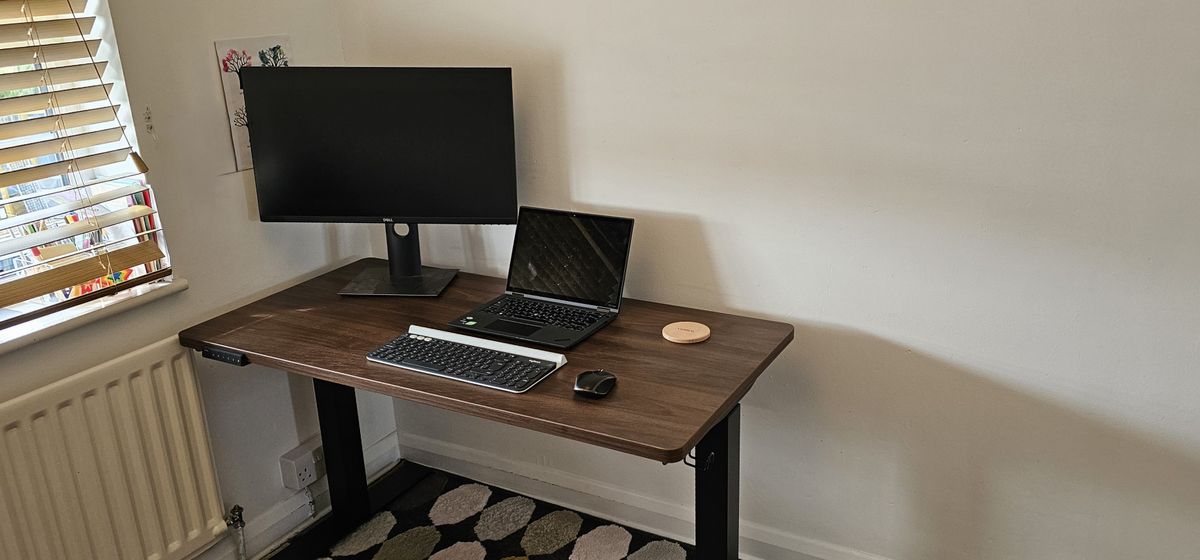 Vernal Standing Desk review