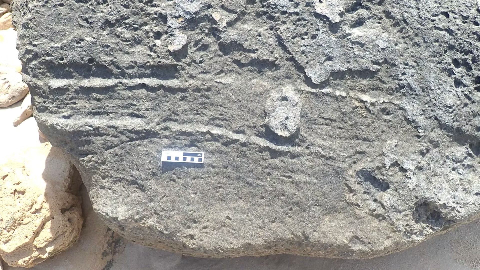 a rock with a long, raised track mark on it