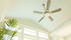 Ceiling fan in well-lit room