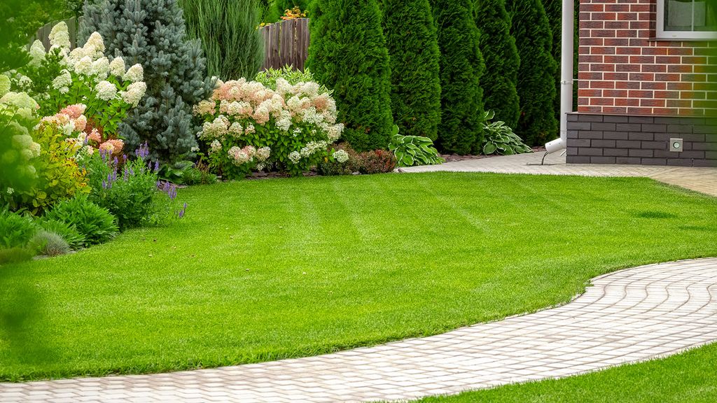 Which grass seed is best for overseeding? Homes & Gardens
