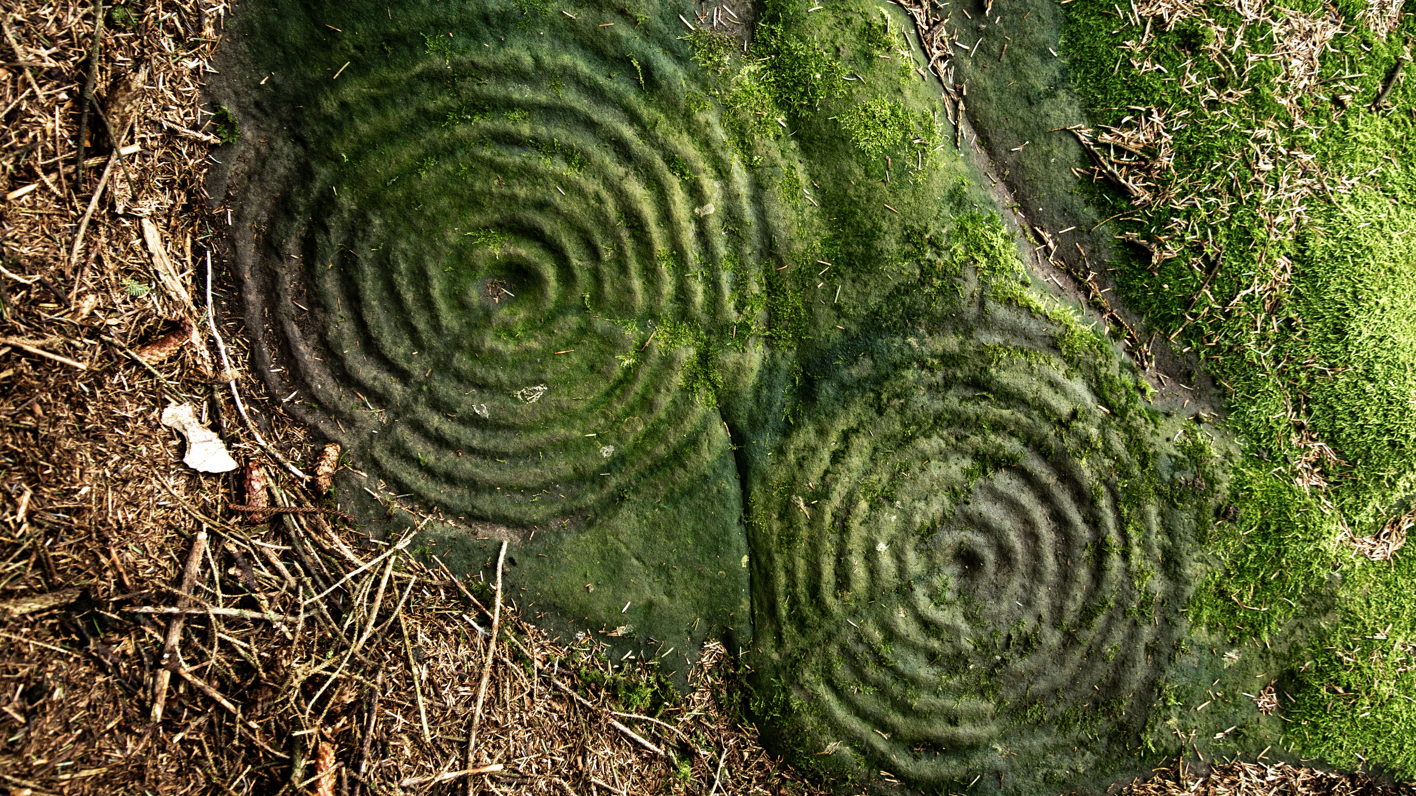 two ancient mossy circles with spirals on stone