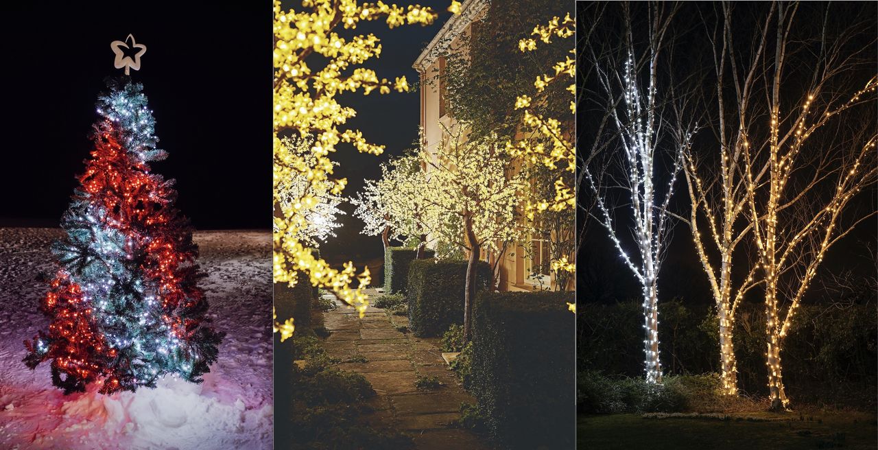 outdoor christmas trees with lights