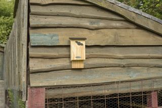 bat box on the side of a shed