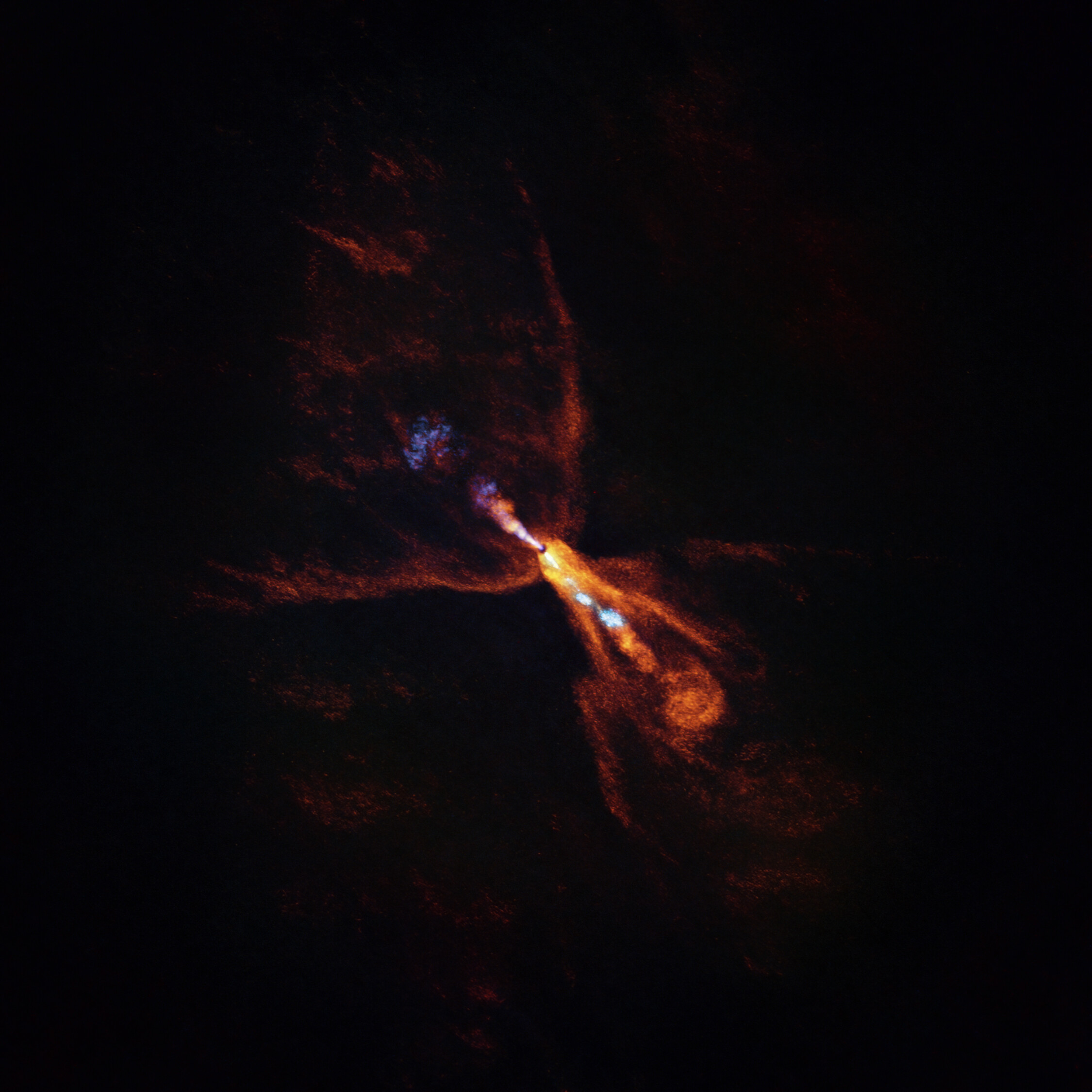 A close-up view of HOPS-315, taken with the ALMA array.