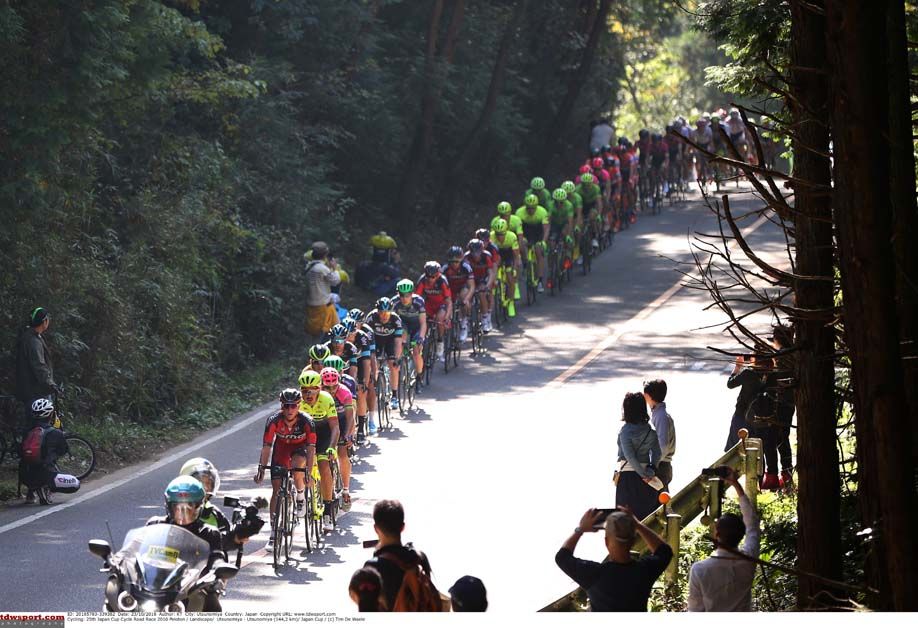 The peloton strings out
