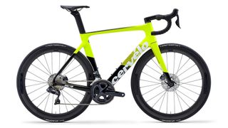 ascent bikes