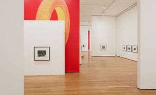 Christopher Williams's exhibition at MoMa in New York. Photographs are hung low and spaced out.