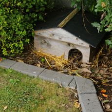 Hedgehog house in garden border
