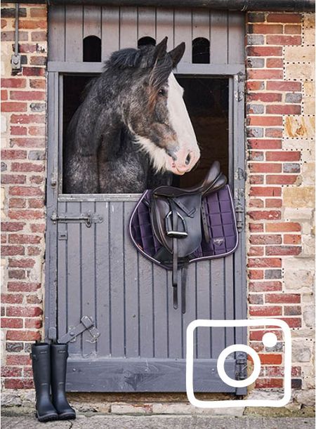A tall dark grey heavy horse with a wide white blaze looks over his grey stable door on which sits a saddle with a pair of yard boots outside.