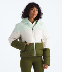 The North Face Frost Fall Hooded Jacket (Women's)