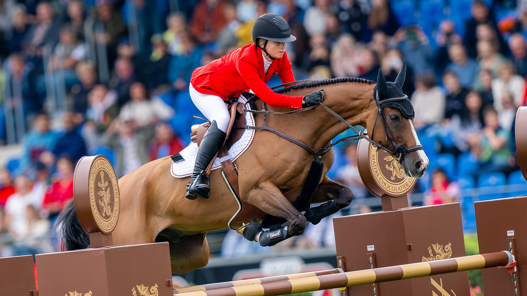 Close up of Sophie Hinners jumping bay horse at World Championships