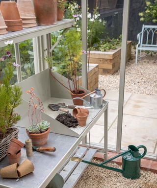 Greenhouse shelves by Hartley Botanic