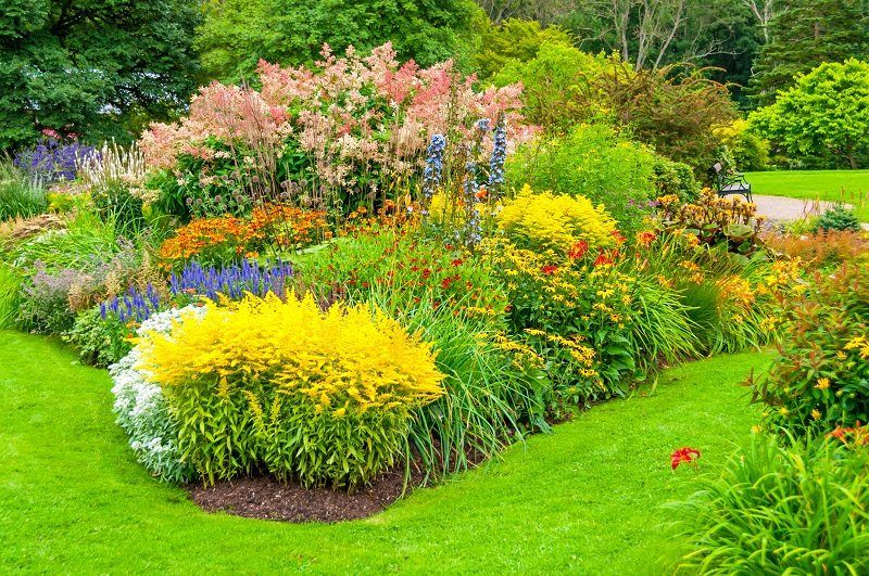 tiered plants