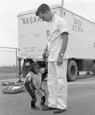 Ham with one of his handlers on the day of the spaceflight.