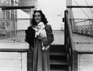 Elizabeth Taylor holds her small white dog