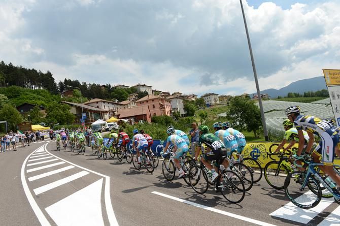 The 2013 Italian road race championships