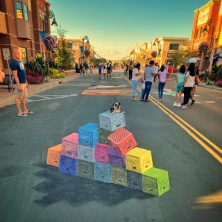 A dog sat on top of the street art design of the milk crate challenge.