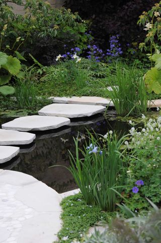 garden pond ideas: stepping stones across water